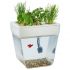 Акваферма «AquaFarm»