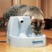 Автоматическая поилка-фонтан для кошек и собак «Drinkwell Original»